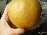 0908_0090.JPG (77415 bytes)