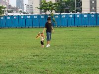 0915_0043.JPG (80675 bytes)