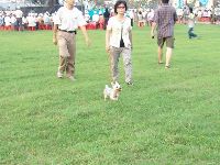 0915_0071.JPG (79012 bytes)