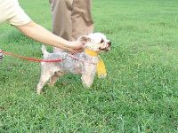 0915_0072.JPG (90956 bytes)