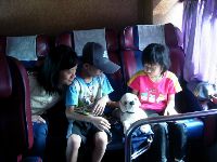 0915_0228.JPG (101973 bytes)