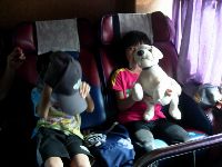 0915_0231.JPG (85794 bytes)