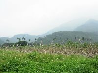 0915_0273.JPG (101903 bytes)