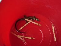 0915_0288.JPG (63773 bytes)