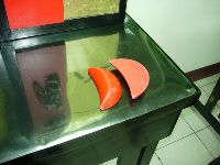 0922_133.JPG (86347 bytes)