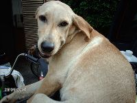 0923_134.JPG (115628 bytes)