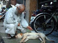 0923_148.JPG (136044 bytes)