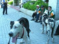 1001_024.jpg (91412 bytes)