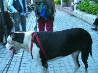 1001_025.jpg (93958 bytes)