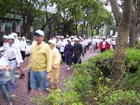 1101_036.JPG (178617 bytes)